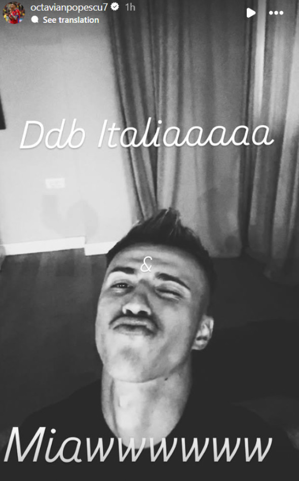 tavi