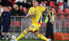 ianis-hagi