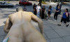 Members Of The CNTE Topple World Cup Sculptures In Mexico, Mexico City - 02 Jun 2026
