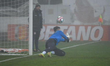 alex maxim fcsb