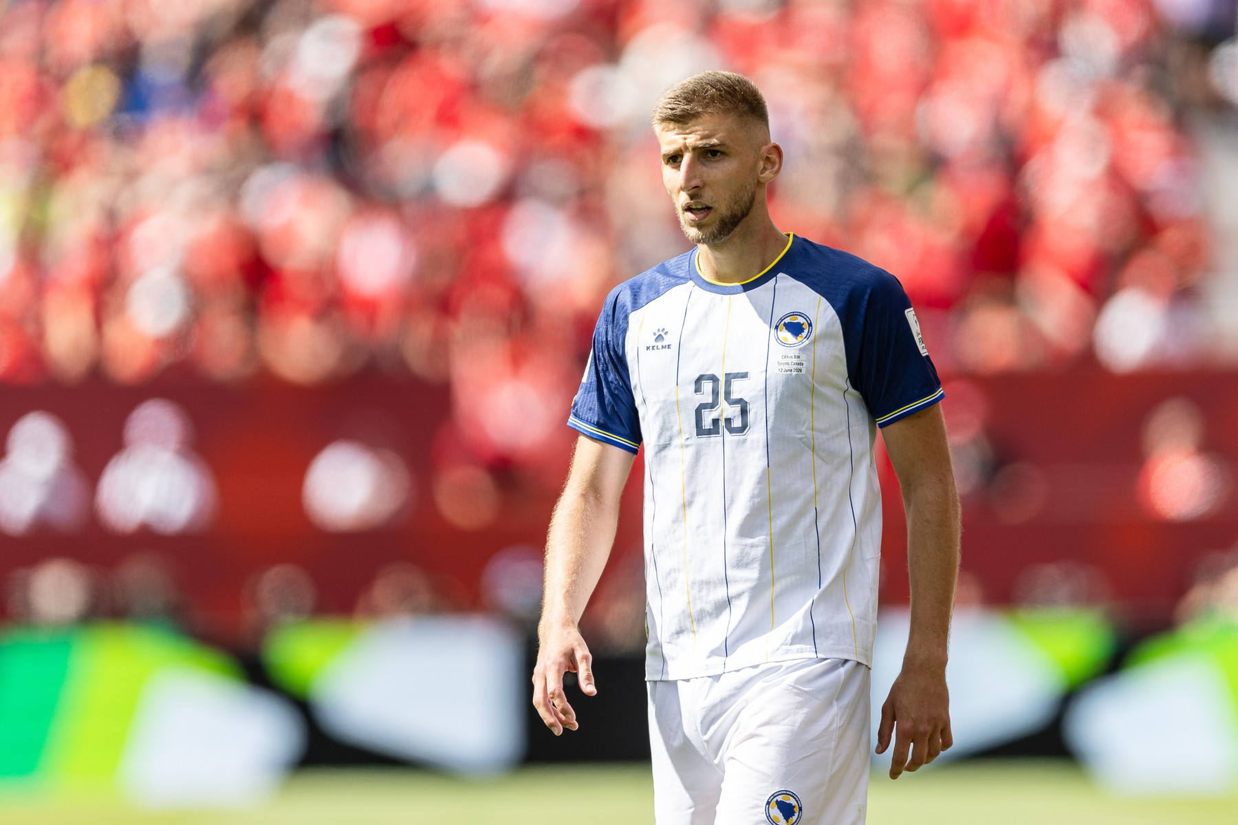 Decizia luată în cazul lui Jovo Lukic, înainte de Bosnia - Qatar