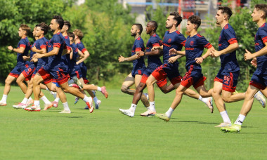 david barbu steaua