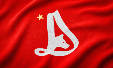 logo dinamo ilustrativ tricou