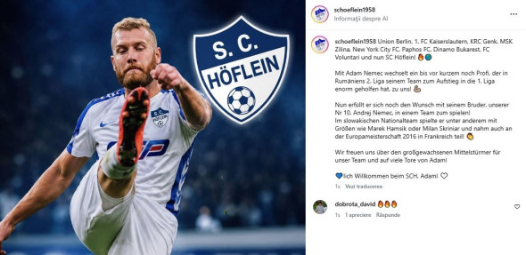 nemec hoflein