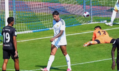 florinel coman (1)