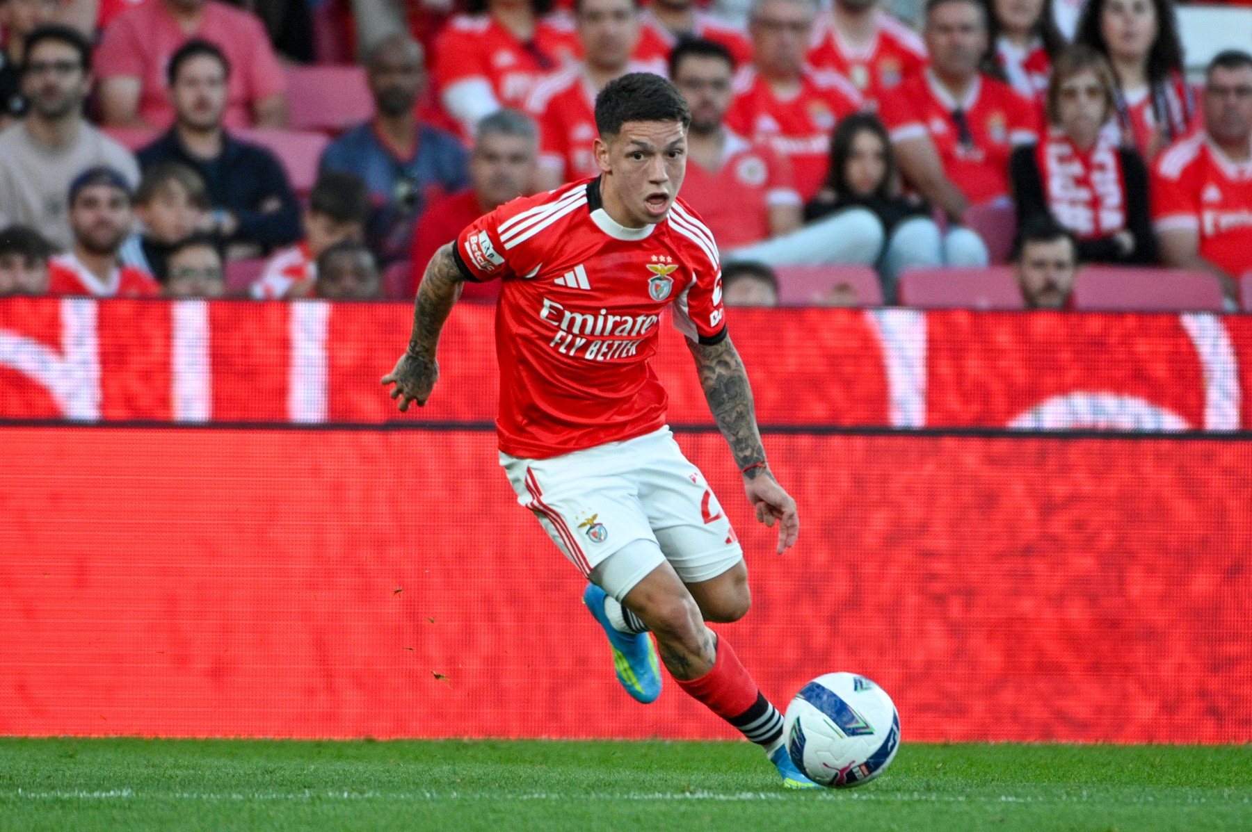 Casa Pia - Benfica 0-2, ACUM, pe digisport.ro. GOOOL! Rafa Silva a dublat avantajul ”Vulturilor”