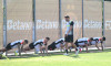 FOTBAL:ANTRENAMENT FCSB (22.06.2026)