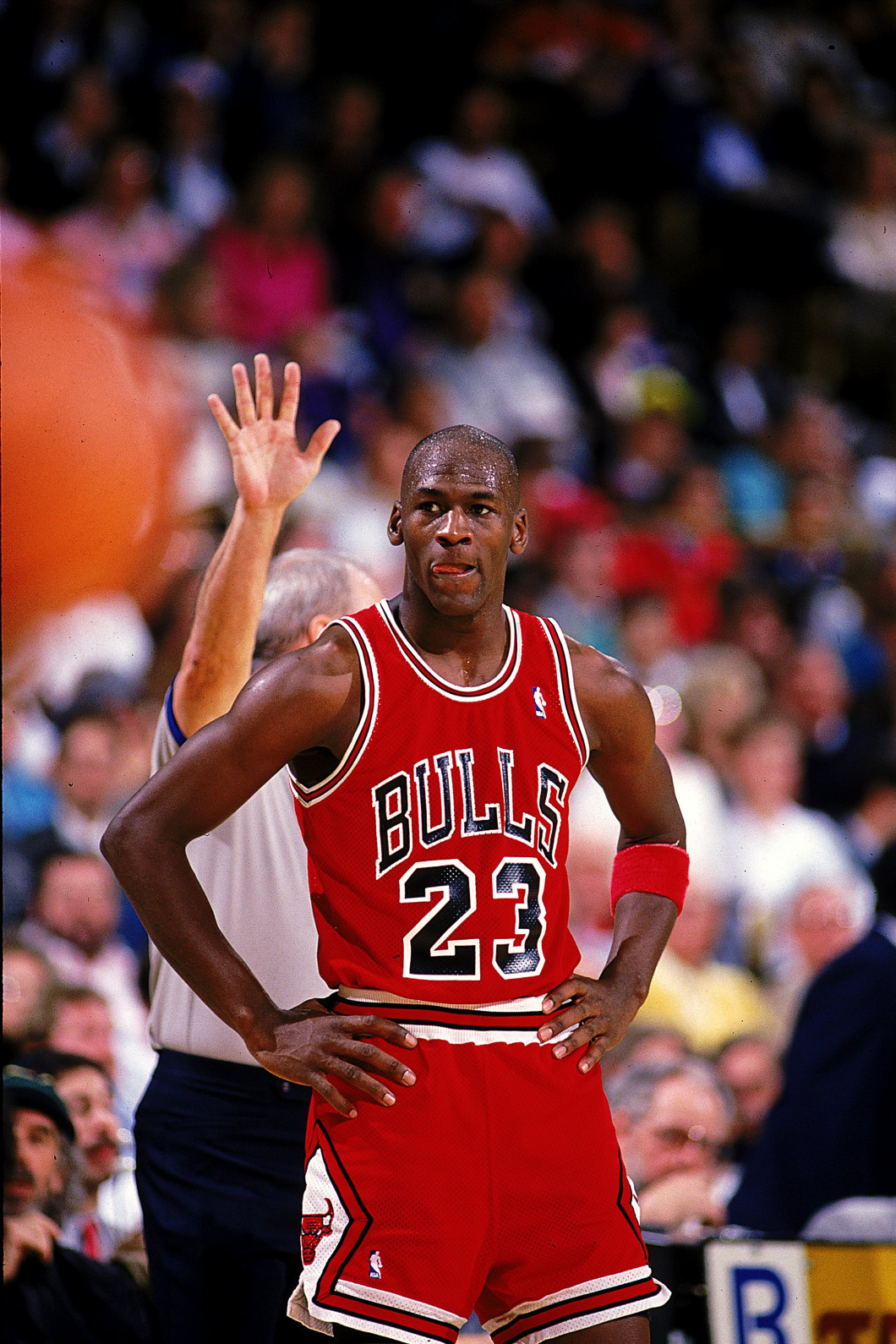Michael Jordan #23