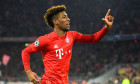 Bayern Muenchen v Tottenham Hotspur: Group B - UEFA Champions League