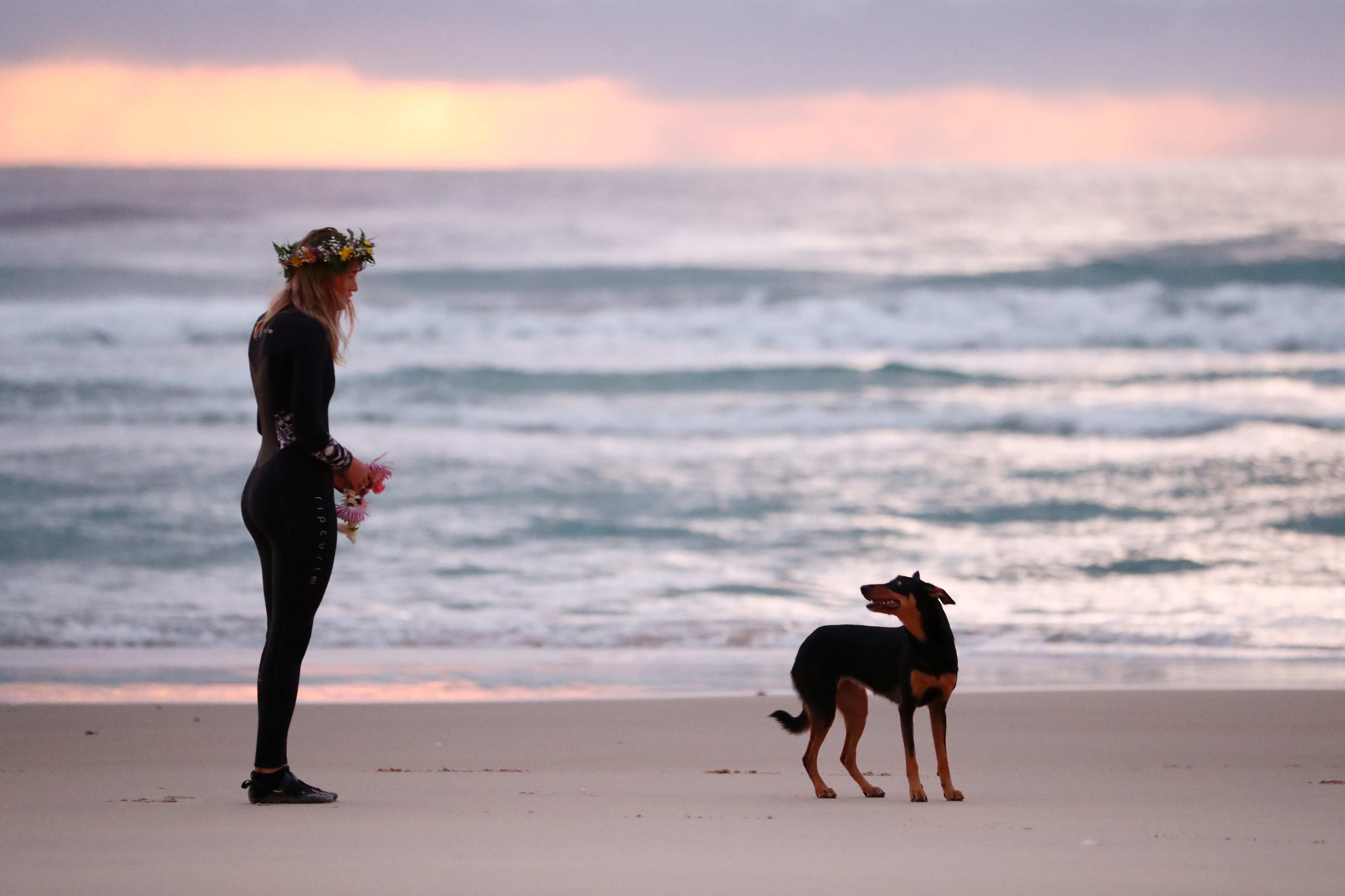 Fotografia care ”a frânt” inima internetului: câinele care își așteaptă stăpânul pe plaja unde acesta și-a pierdut viața