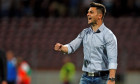 Florin Bratu, antrenorul Concordiei Chiajna / Foto: Sport Pictures