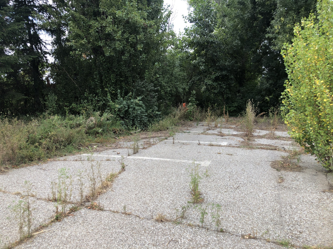 image00010