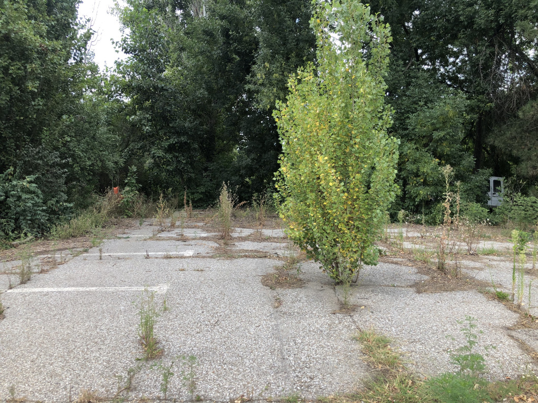 image00011