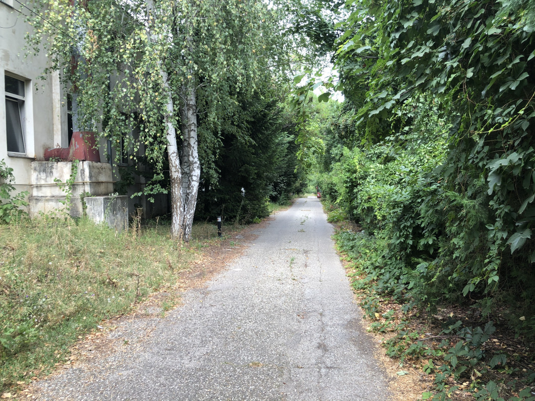 image00024