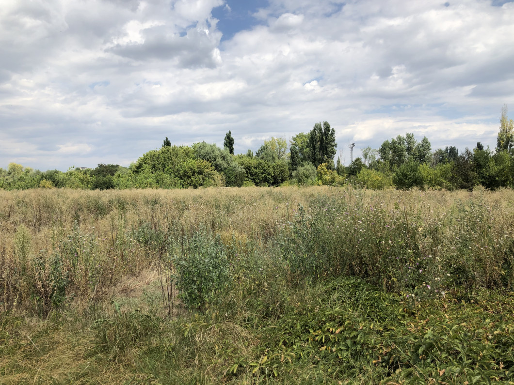 image00001