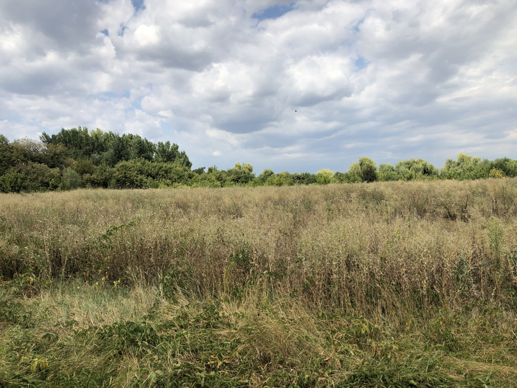image00002