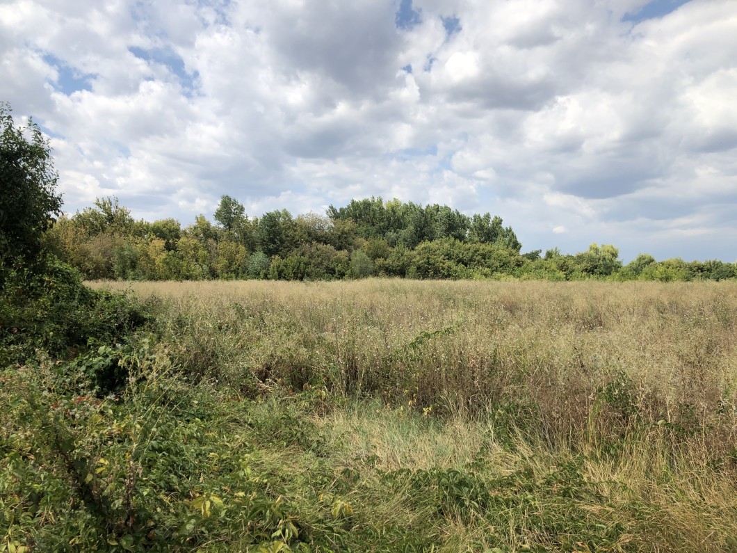 image00004