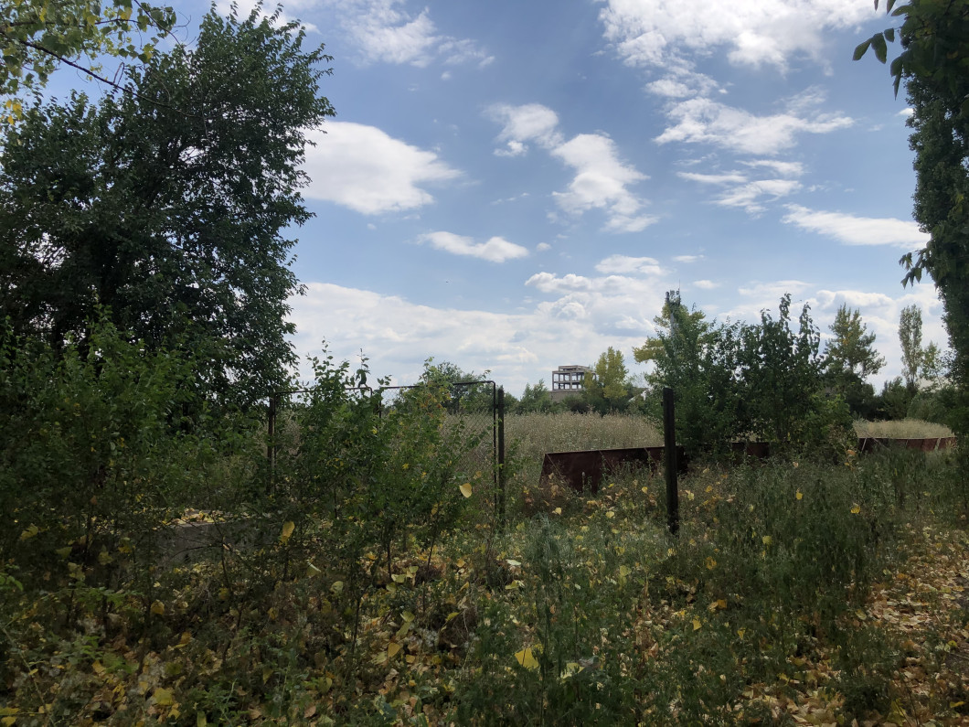 image00013
