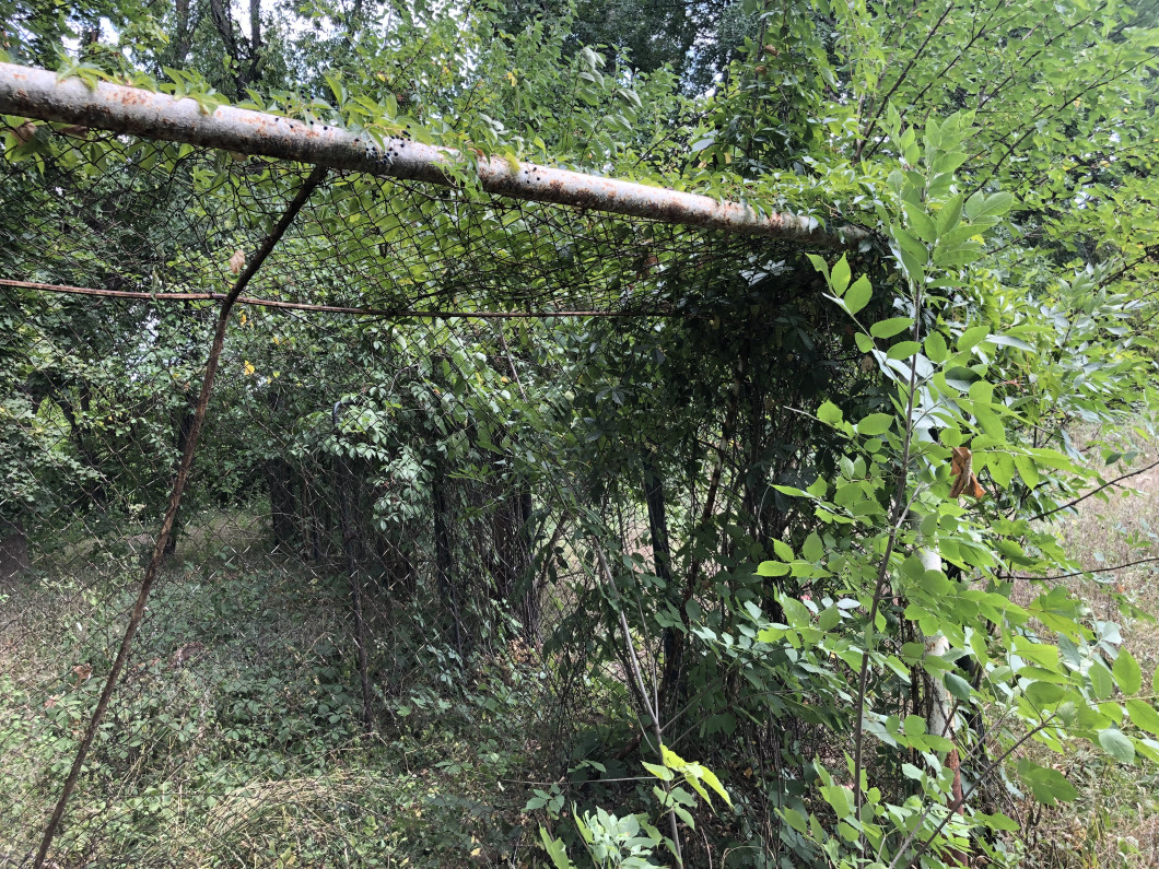 image00018