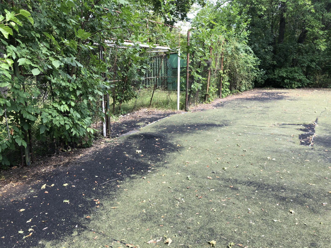 image00019