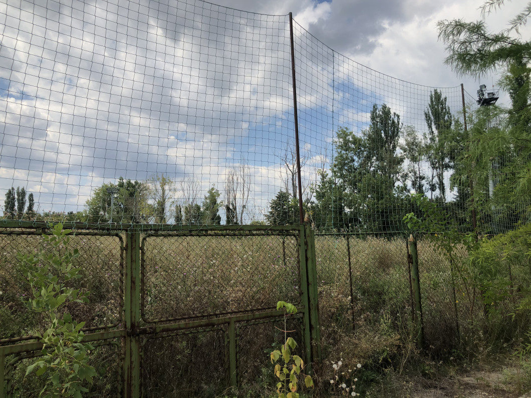image00006
