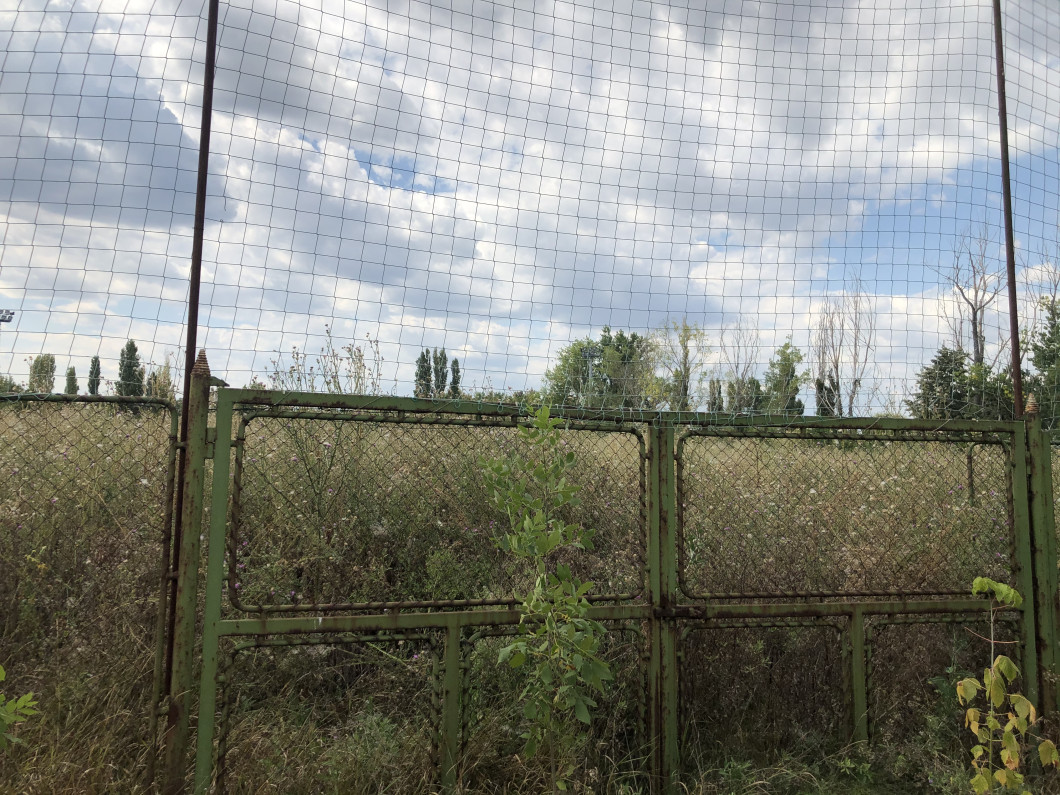 image00008