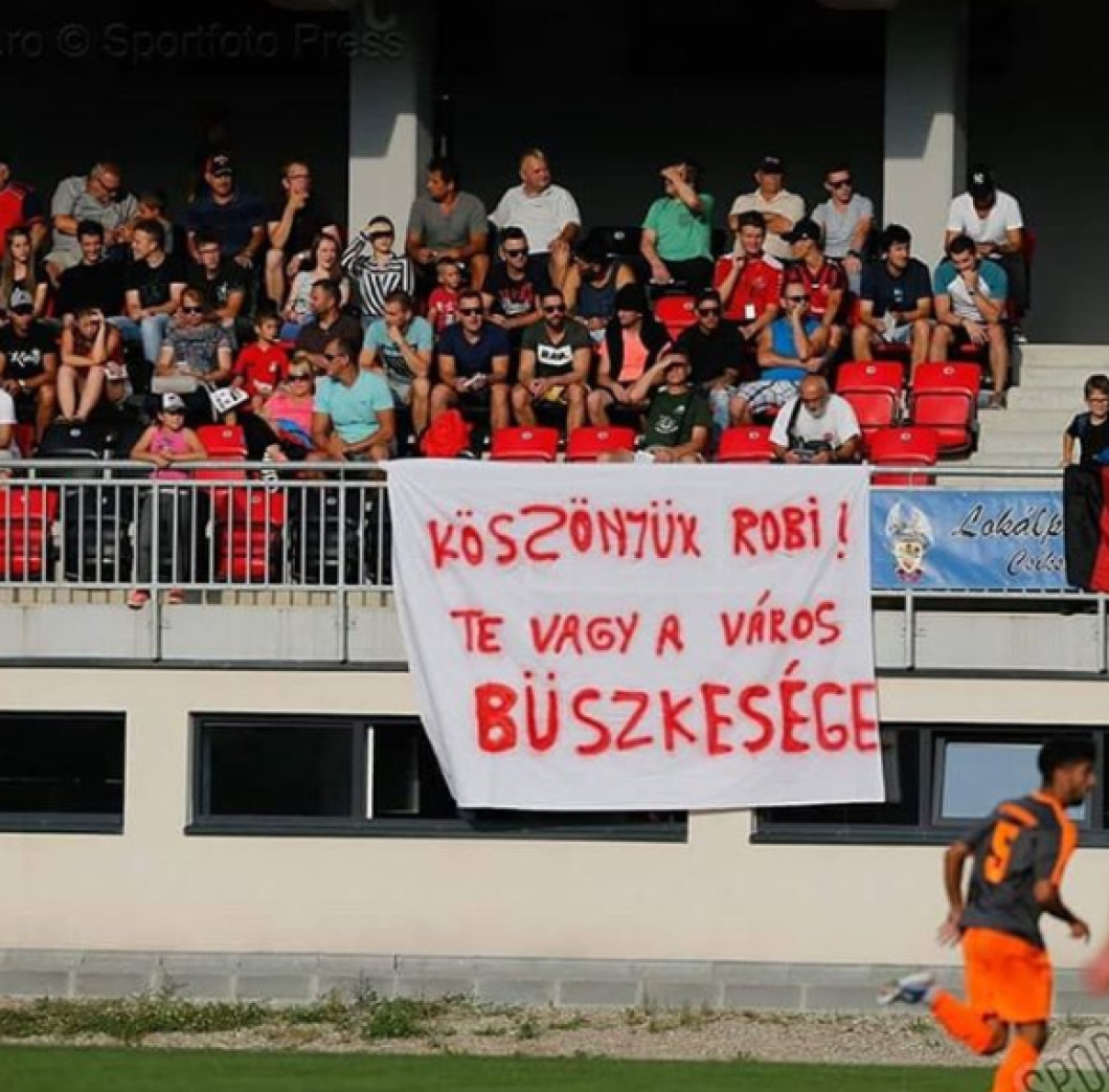 baza 6
