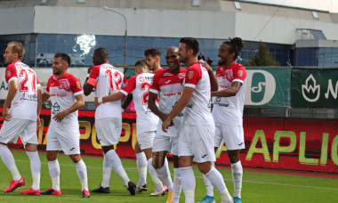 Fotbaliștii de la Hermannstadt, în meciul cu FC Botoșani / Foto: Sport Pictures