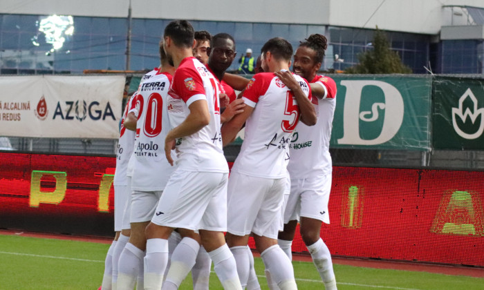 Fotbaliștii de la Hermannstadt, în meciul cu FC Botoșani / Foto: Sport Pictures