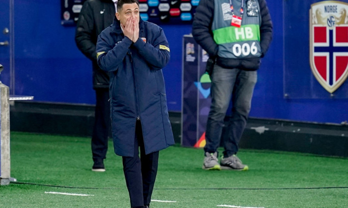 Mirel Rădoi, selecționerul României / Foto: Profimedia
