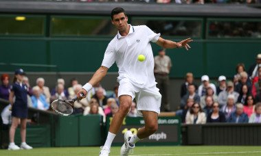 Victor Hănescu, la Wimbledon, în 2013 / Foto: Getty Images