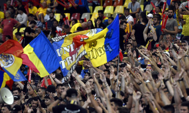 Suporterii echipei naționale a României, la un meci cu Spania de pe Arena Națională / Foto: Sport Pictures