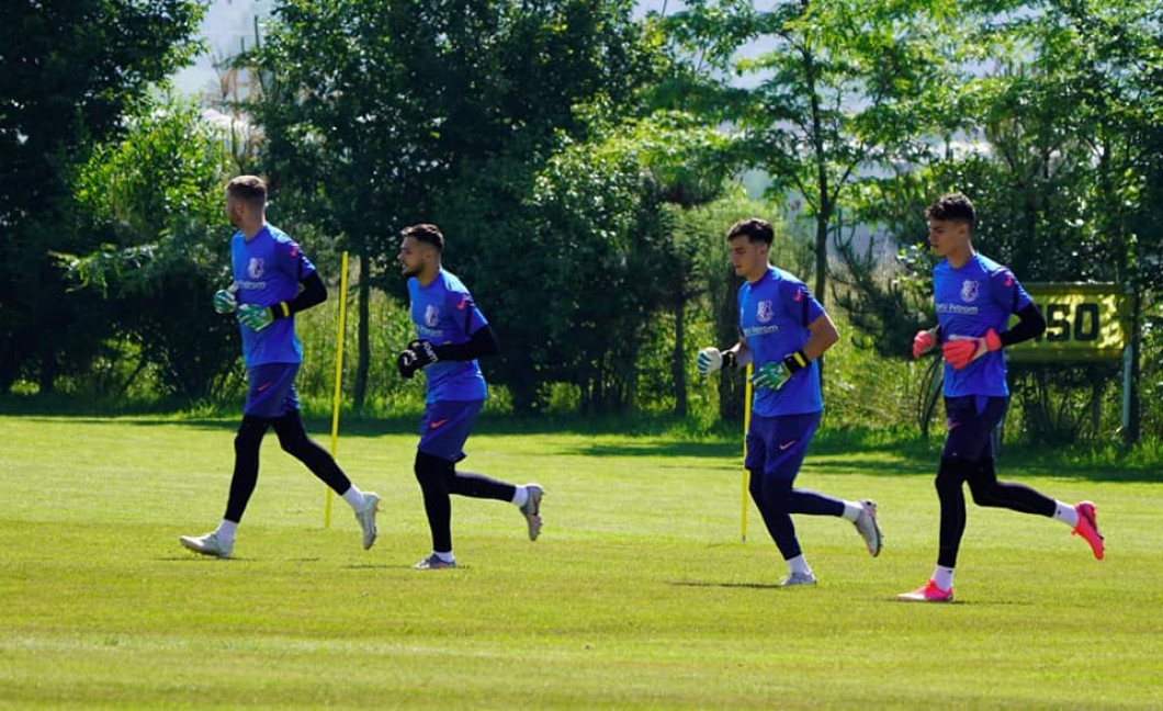 Viitorul 1