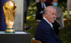 Vicente Del Bosque In Commemoration Of World Championship For Spain, Madrid - 10 Jul 2020