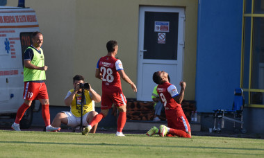 FOTBAL:GAZ METAN MEDIAS-FC BOTOSANI, LIGA 1 CASA PARIURILOR (16.08.2021)