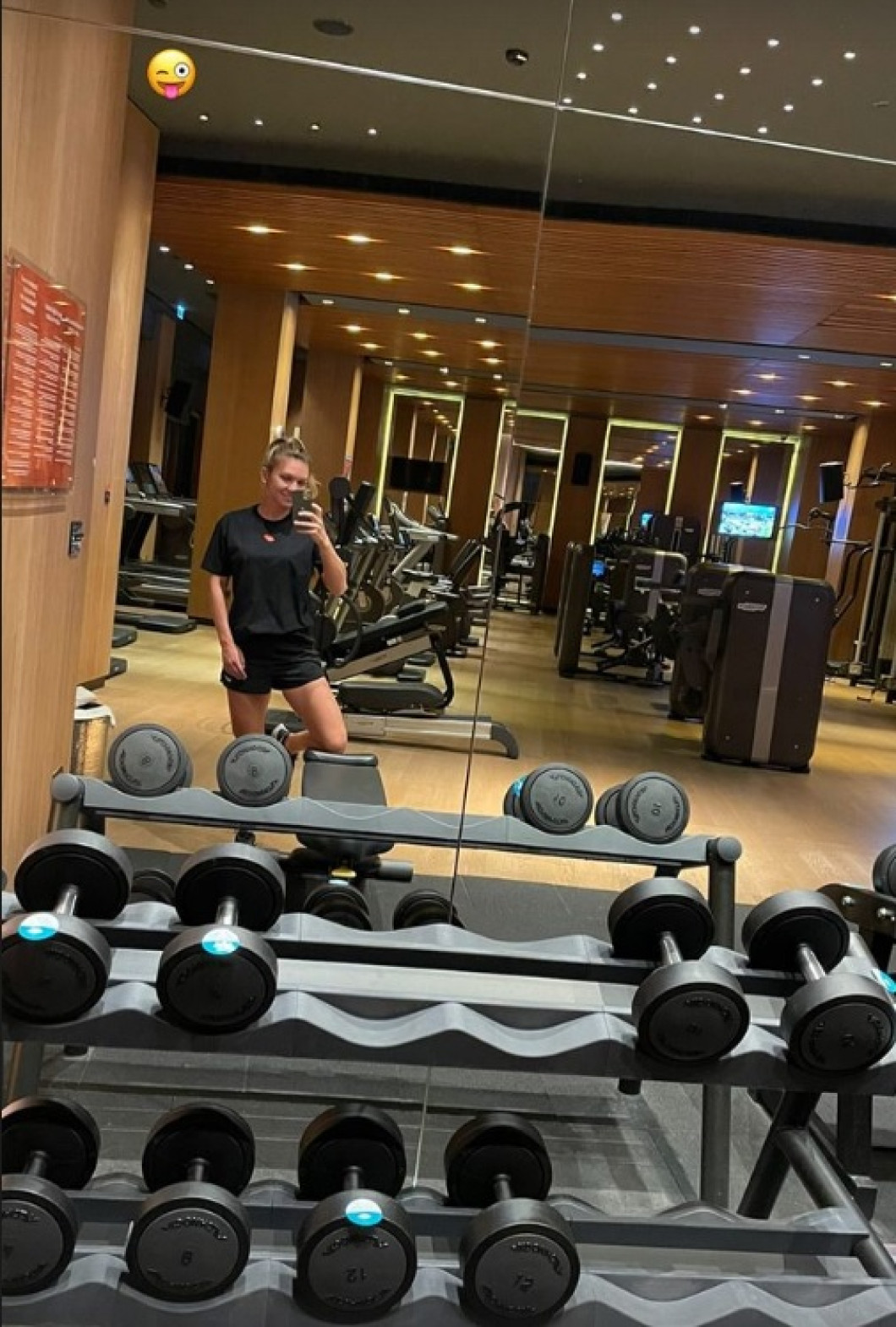 simona halep vacanta7