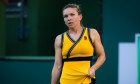 Simona Halep, locul 19 WTA / Foto: Profimedia