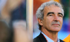 raymond domenech