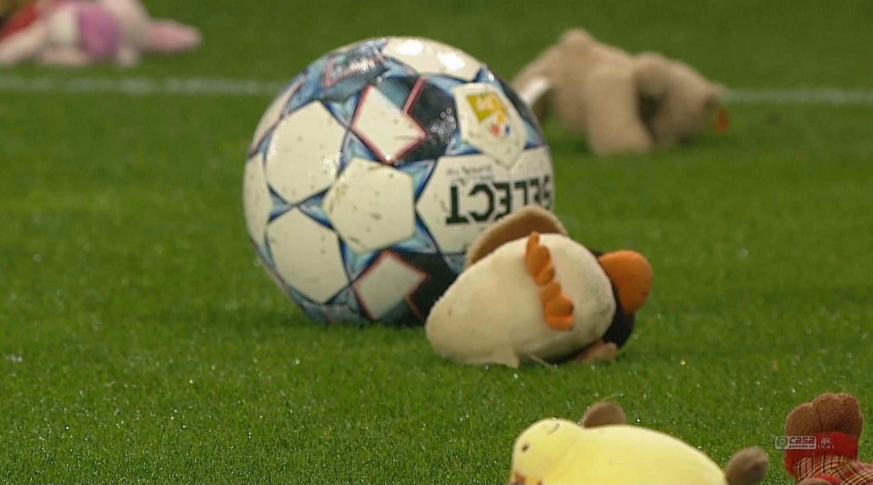 Gest superb la pauza meciului Sepsi - FCSB. Suporterii gazdelor au aruncat cu jucării de pluș pe gazon
