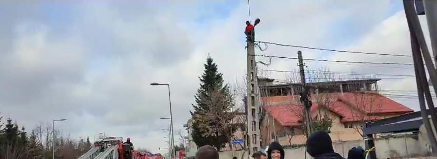 ”Nea Gigi, ieși afară!”. Un bărbat a provocat un adevărat haos lângă casa lui Becali. Replica primită: ”Ia stai, mă, acolo”