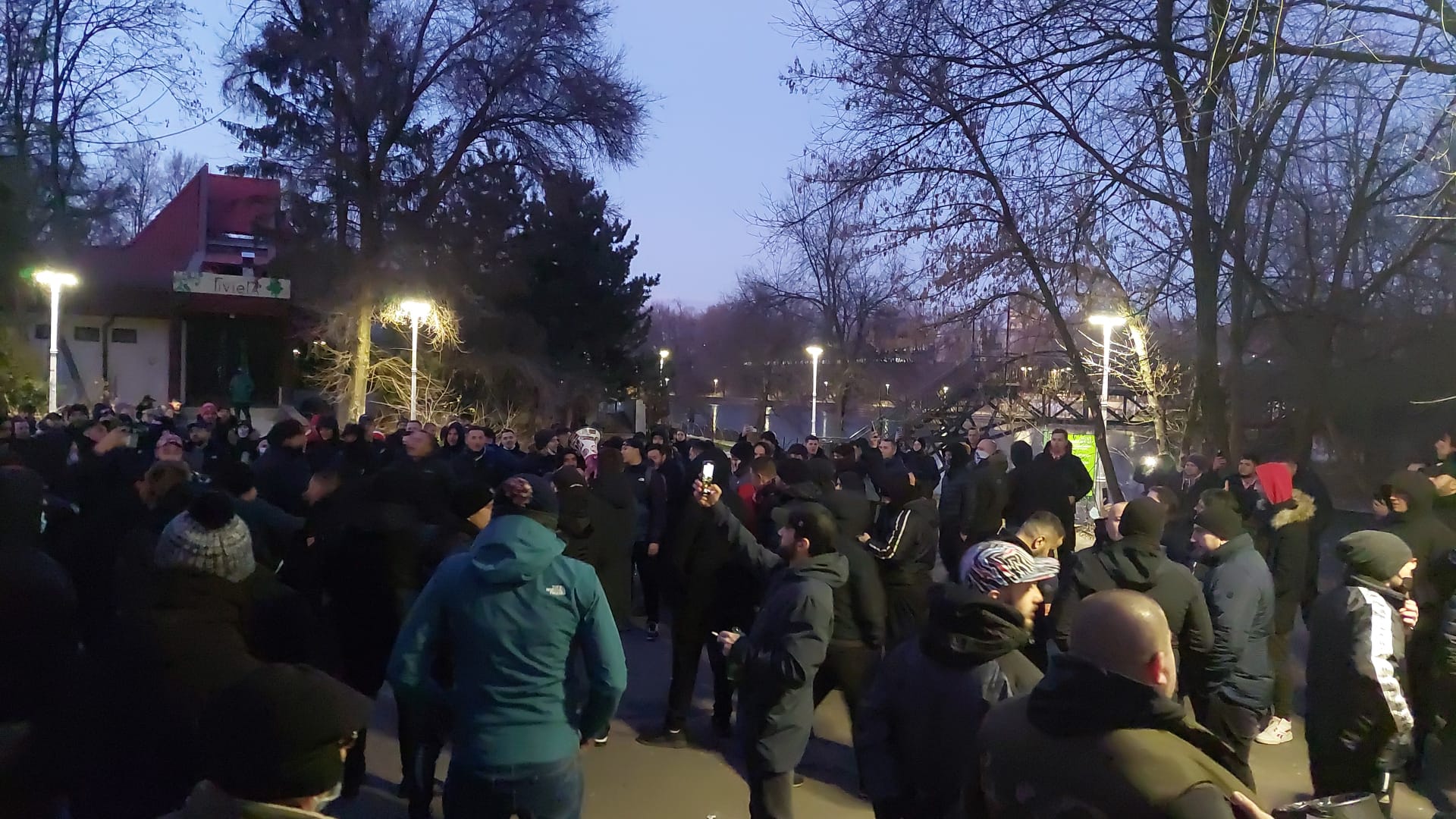 Fanii Stelei, prezenți pe Arena Națională la meciul Rapid - UTA