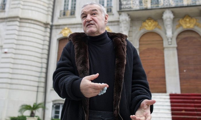 gigi becali palat