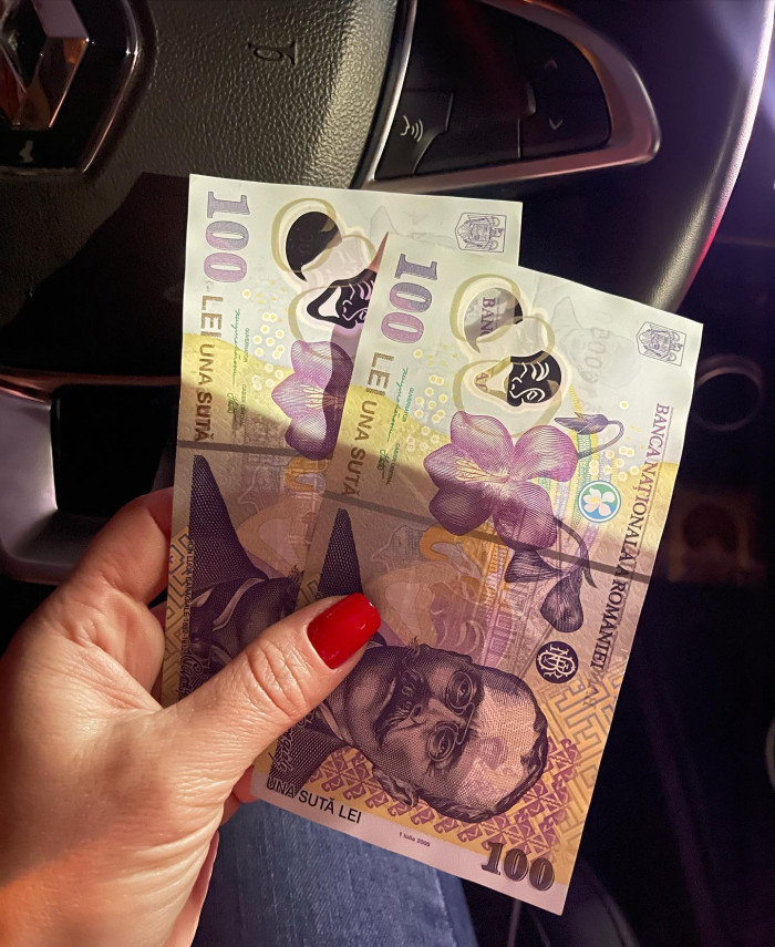 Banii primiți de Yulia Chernitskaya / Foto: Facebook@Юлия Черницкая