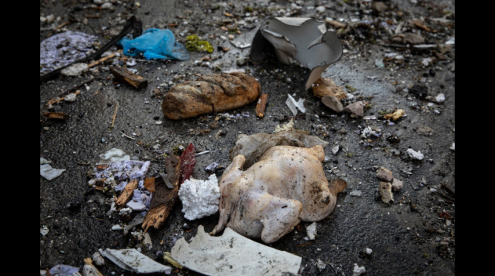 Invazia Rusiei în Ucraina a început pe 24 februarie / Foto: Profimedia