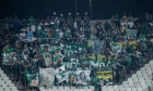 SO PAULO, SP - 13.04.2022: CORINTHIANS X DEPORTIVO CALI - Deportivo Cali fans during the match between Corinthians and Deportivo Cali-COL held at Neo Qumica Arena in So Paulo, SP. The match is valid for the 2nd round of Group E of the Copa Libertadores 20