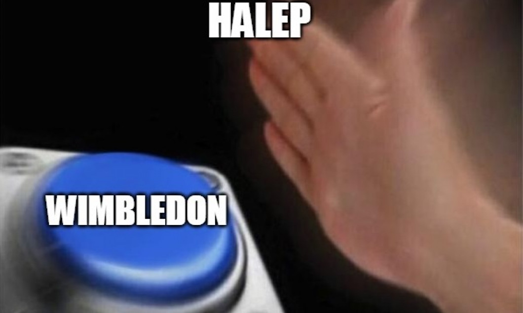 simona halep memeuri (16)