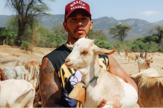 "Reacție în lanț", după o postare a lui Lewis Hamilton