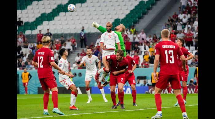 Danemarca - Tunisia / Foto: Profimedia Images