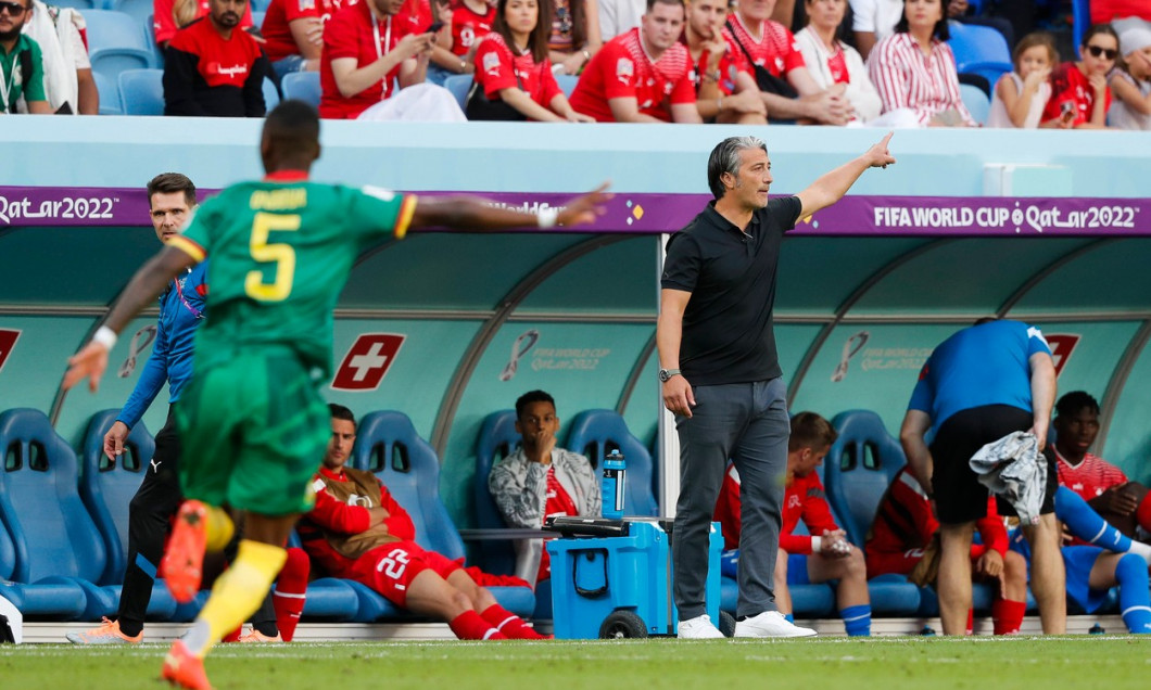Switzerland v Cameroon 2022 FIFA World Cup, WM, Weltmeisterschaft, Fussball Switzerland Manager Murat Yakin directs his
