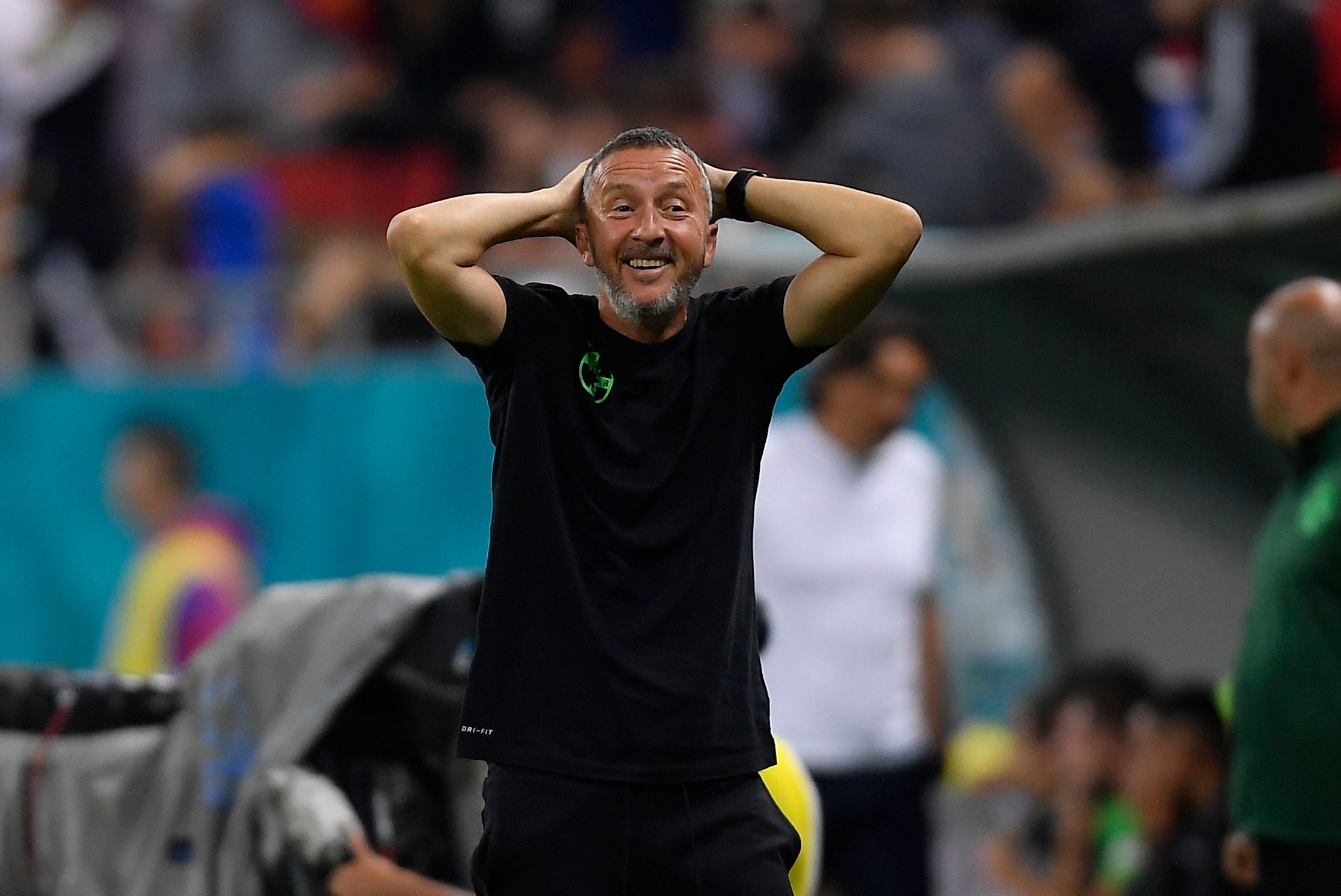 Reacția lui MM Stoica, după ce a văzut transferurile făcute de Rapid și Universitatea Craiova